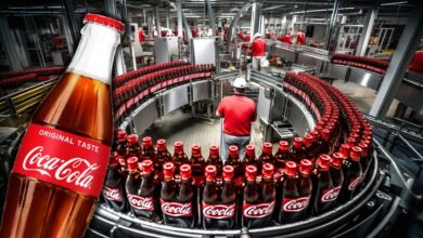 coca-cola learnership