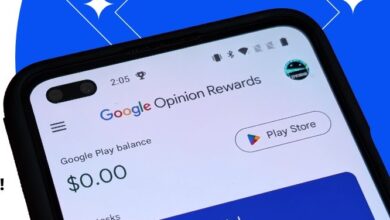 Google Opinion Rewards